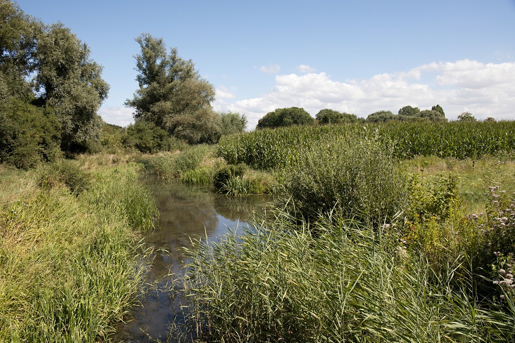 sint Annabos polderbos annapolder natuurgebied natuurmonumenten hdr rockanje voorne putten bos wandelroute polder oostvoorne